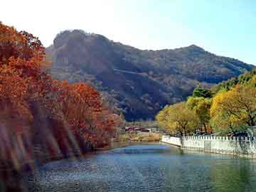 正版澳门天天开彩大全，回收线路板